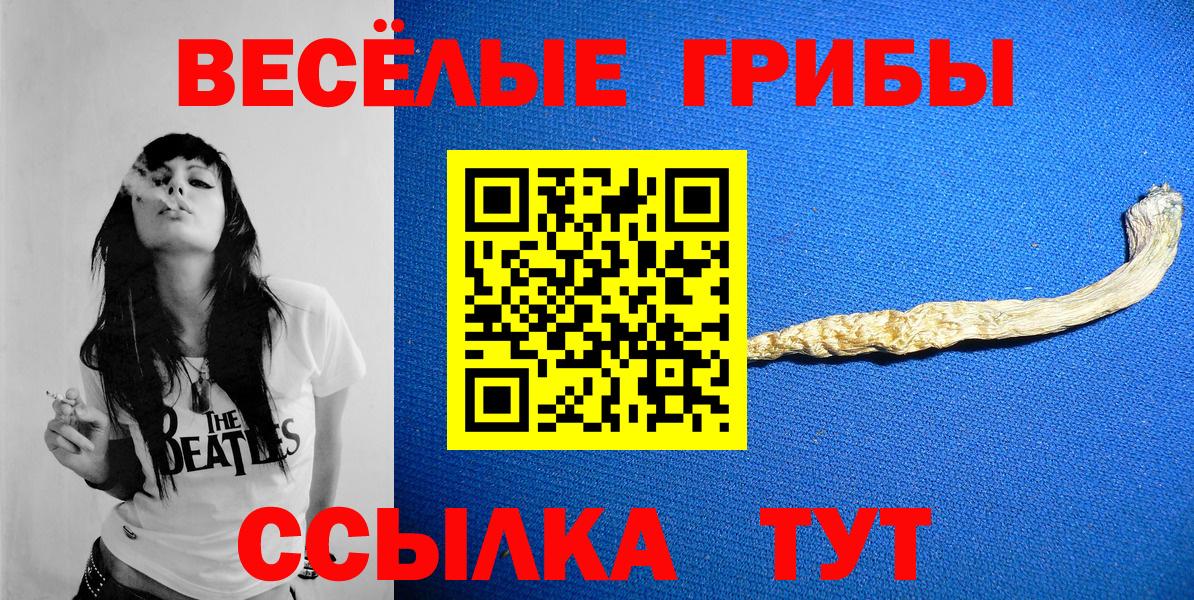 Галлюциногенные грибы Cubensis Белгород